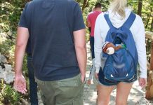 Otuđena torbica s novcem